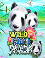 เทคนิคยอดเยี่ยมในการเล่น สล็อต game ให้ปังทุกครั้ง